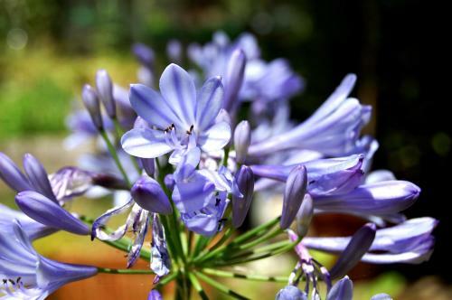 Bed & Breakfast Madeleine Bergerac