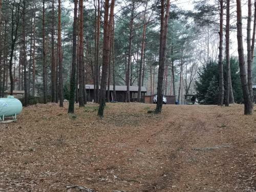 Ferienhaus Waldh�tte Ferch