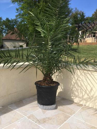 Apartamento La Forestine