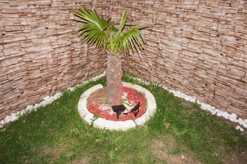 Maison De Standing Avec Jardin � 200m De La Plage