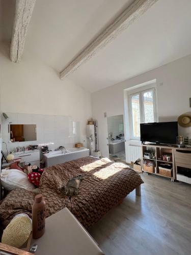 Maison Vigneronne Proximit� De N�mes
