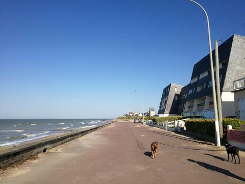 Apartamento La Croisette