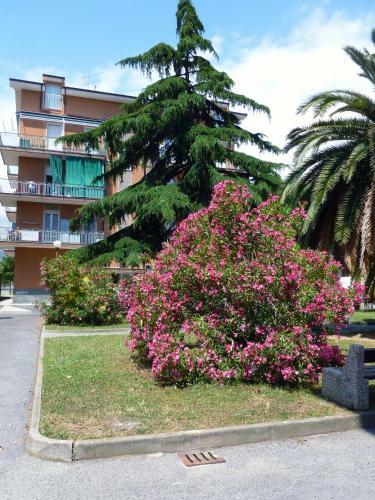 Apartamento Al Pepe Rosa Di Borghetto