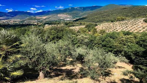 Villa Vallocchia - Sleeps 18 Exclusive Poolgrounds 6