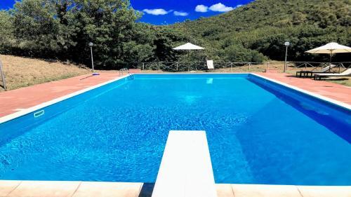 Villa Vallocchia - Sleeps 18 Exclusive Poolgrounds 6
