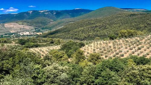 Villa Vallocchia - Sleeps 18 Exclusive Poolgrounds 4