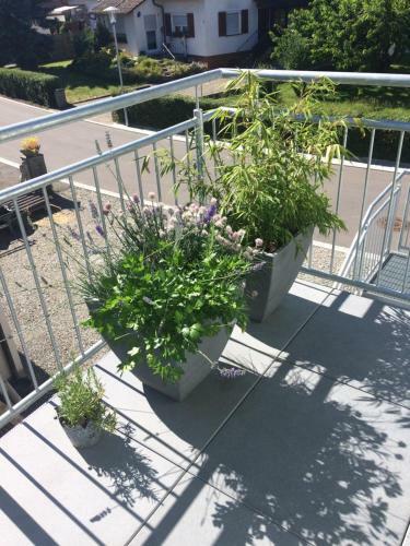 Apartamento Ferienwohnung Walk
