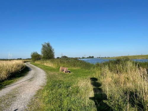 Wangerbrise