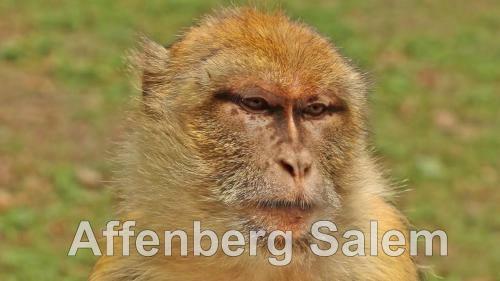 Apartamento Gem�tliche Ferienwohnung In Bodenseen�he