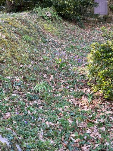 Casetta Delle Fate A Borgo A Mozzano
