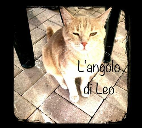 Apartamento L'angolo Di Leo