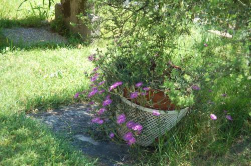 Apartamento Il Poietto