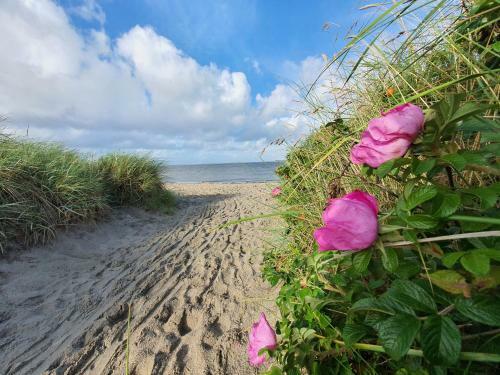 Wangermeer - Ferienhaus
