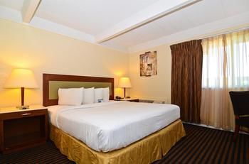Motel Lexington Inn & Suites