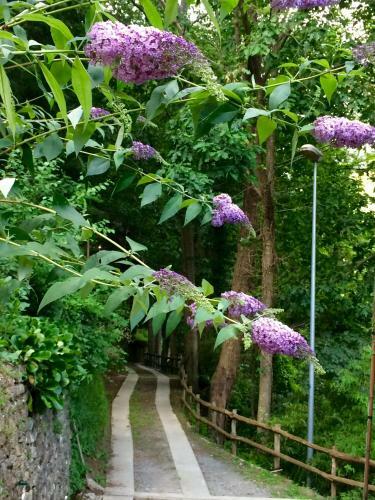 Hostal Affittacamere La Quiete