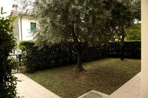 Casa Giulia A Borso Del Grappa