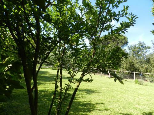 Apartamento Villa Acanfora