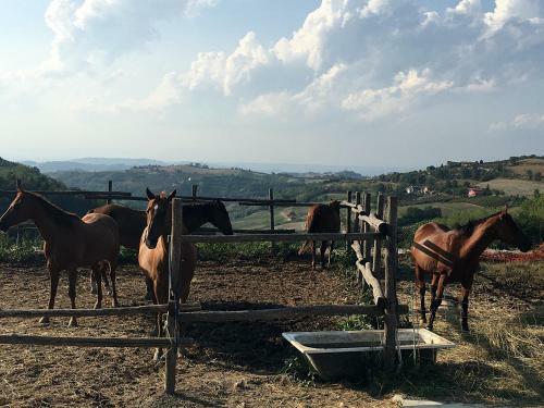 Maison Demetrio - Family Farm