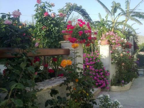 Bed & Breakfast Villa Delle Rose