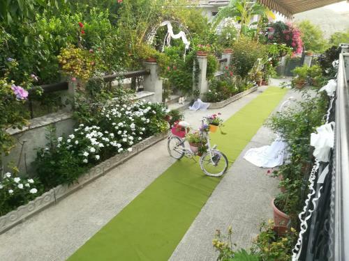 Bed & Breakfast Villa Delle Rose
