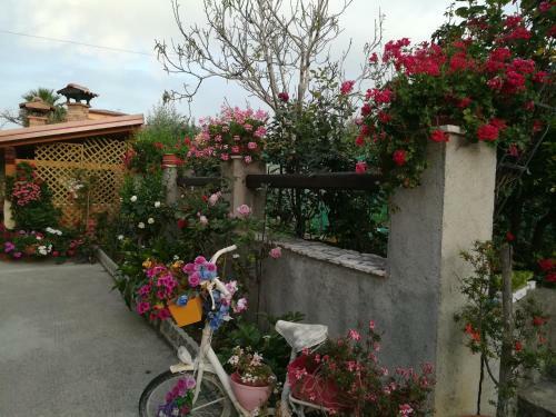 Bed & Breakfast Villa Delle Rose