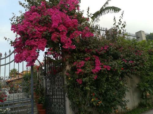 Bed & Breakfast Villa Delle Rose