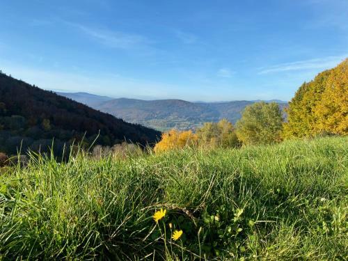 Apartamento Ferienapartment Sonnenwald