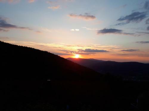 Apartamento Ferienapartment Sonnenwald