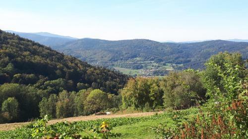 Apartamento Ferienapartment Sonnenwald