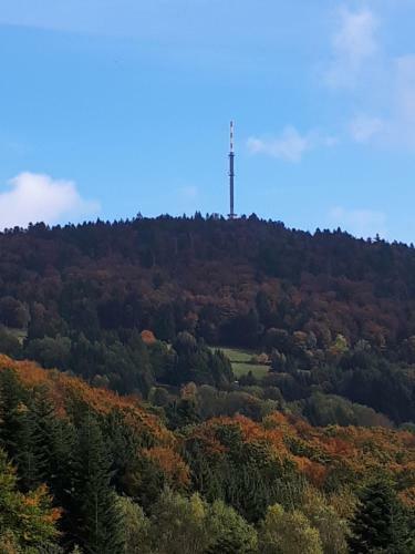 Apartamento Ferienapartment Sonnenwald