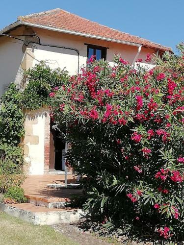 La Maison De Thelma