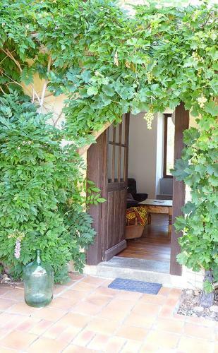 La Maison De Thelma