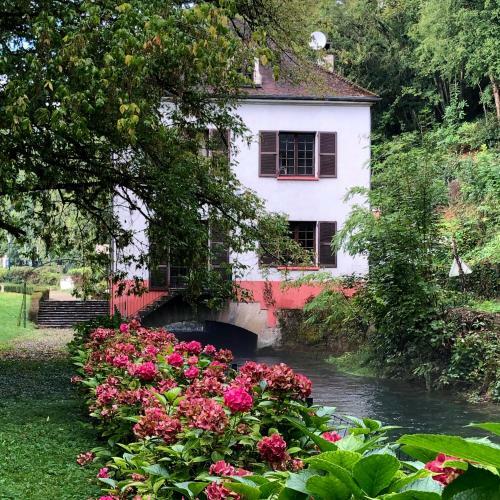Bed & Breakfast Moulin De Belle Isle