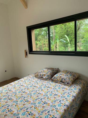 Villa Pinaceae
