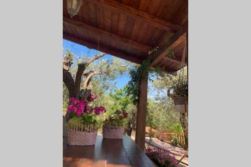 Tiria House A Bosa