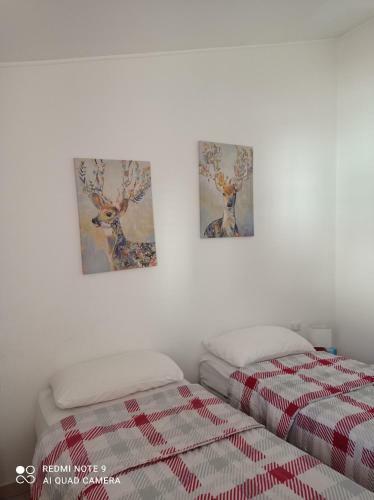 Apartamento Appartement Marghine