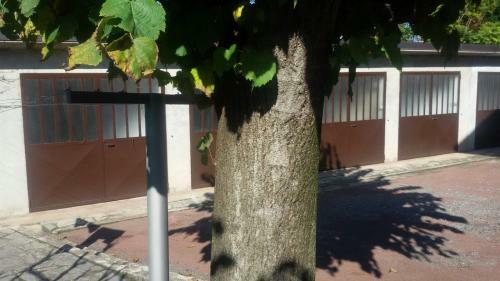 Apartamento Appartamento A Brebbia