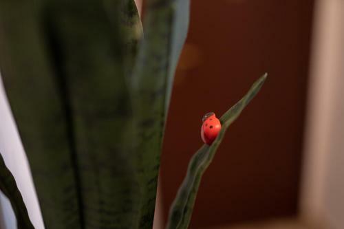 Hostal La Nuova Coccinella