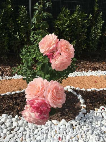 Apartamento La Rosa Del Lago