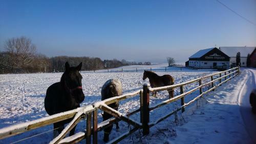Ferienhaus R�them�hle