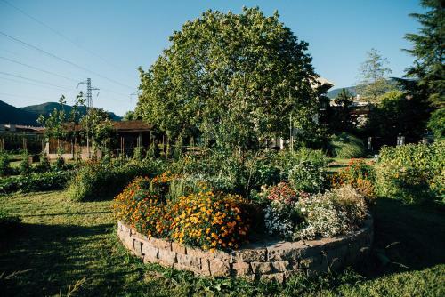 Apartamento Gerwies-hof