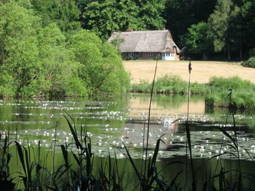 Hostal Landhaus N�tschau