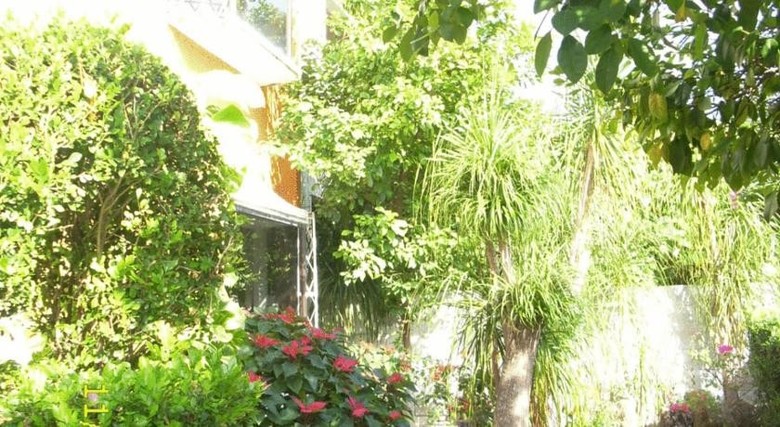 Bed & Breakfast La Casa Naranja