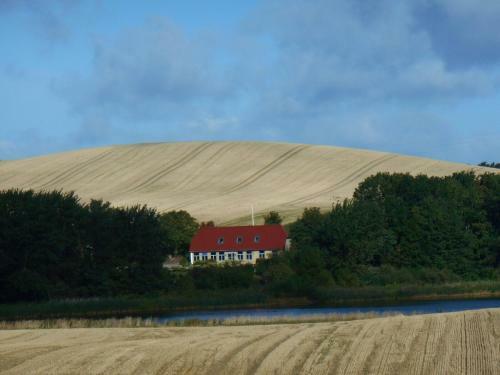 B�gebjergg�rd Bed & Breakfast
