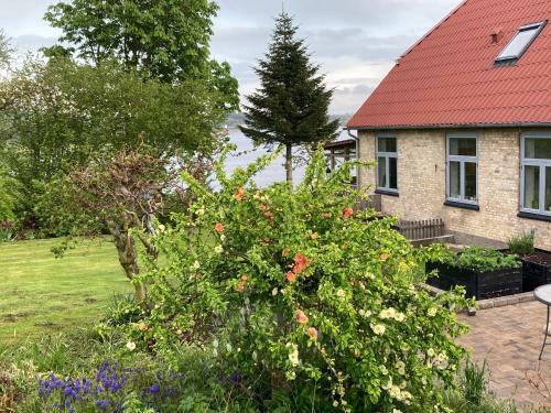 B�gebjergg�rd Bed & Breakfast