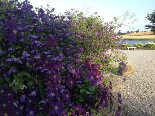 B�gebjergg�rd Bed & Breakfast