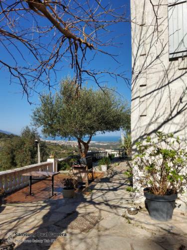 Villa Maison Casa Nova