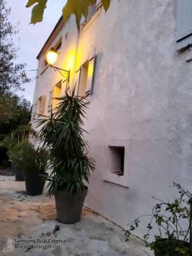 Villa Maison Casa Nova