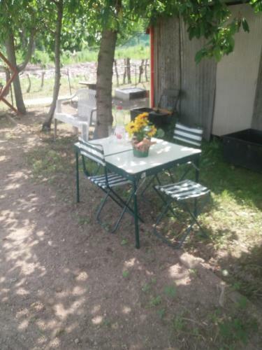 Apartamento La Casa Dei Ciliegi