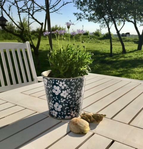 Apartamento Sommerpolderhof